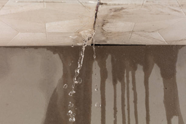 Professional Water Damage Restoration technician working in Essex, CA